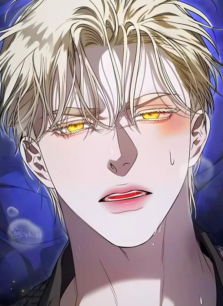 Noar thumbnail