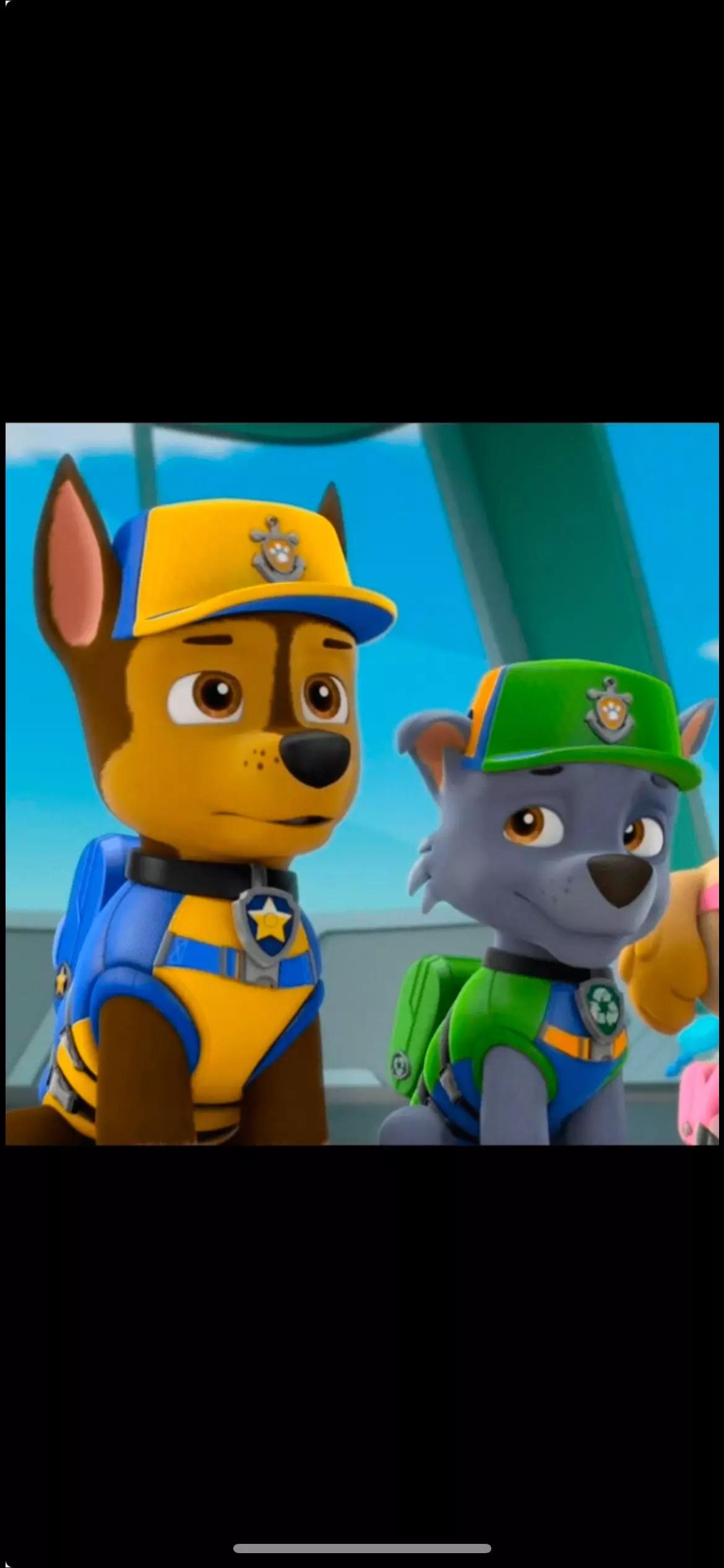 Paw patrol patrulla canina  thumbnail
