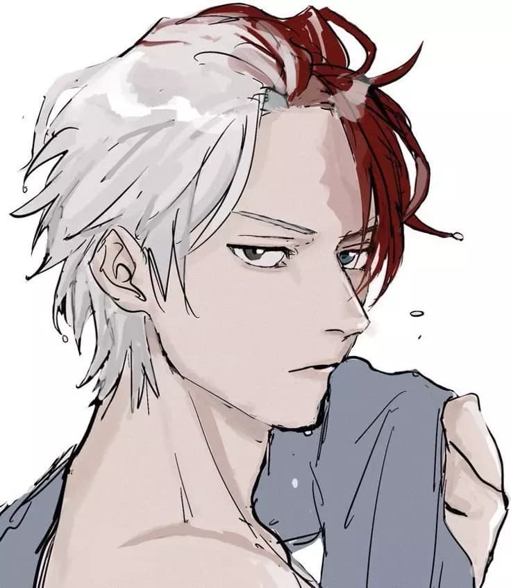 Shoto Todoroki thumbnail