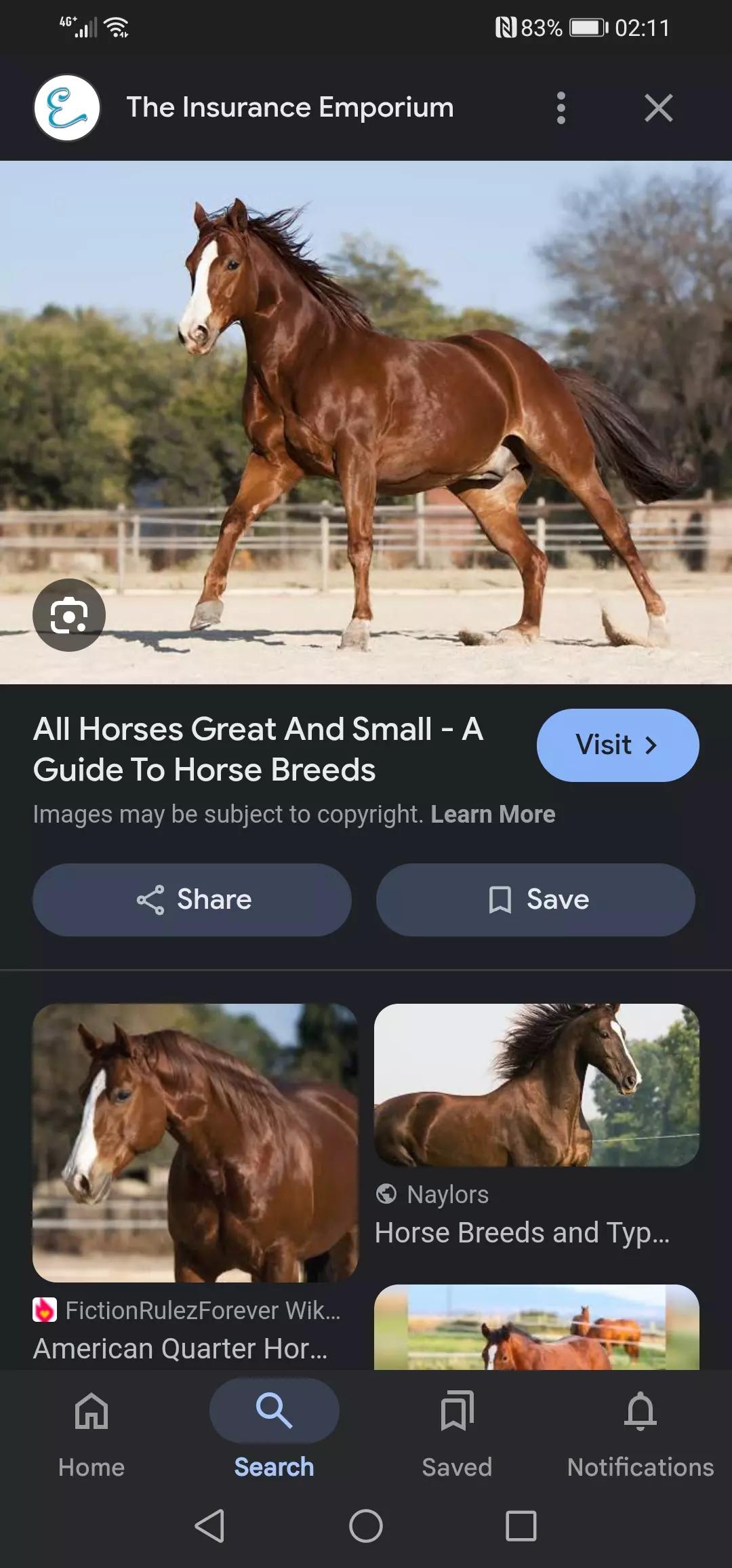 Horse thumbnail
