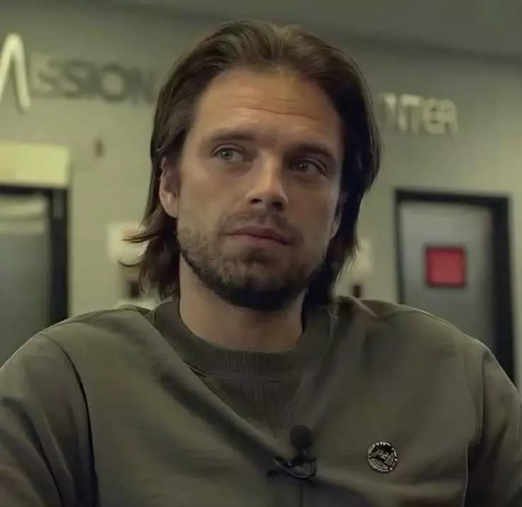 Sebastian Stan thumbnail
