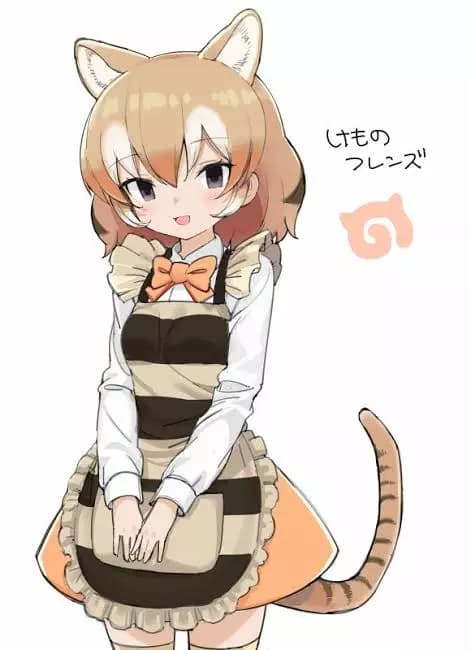Thylacine thumbnail