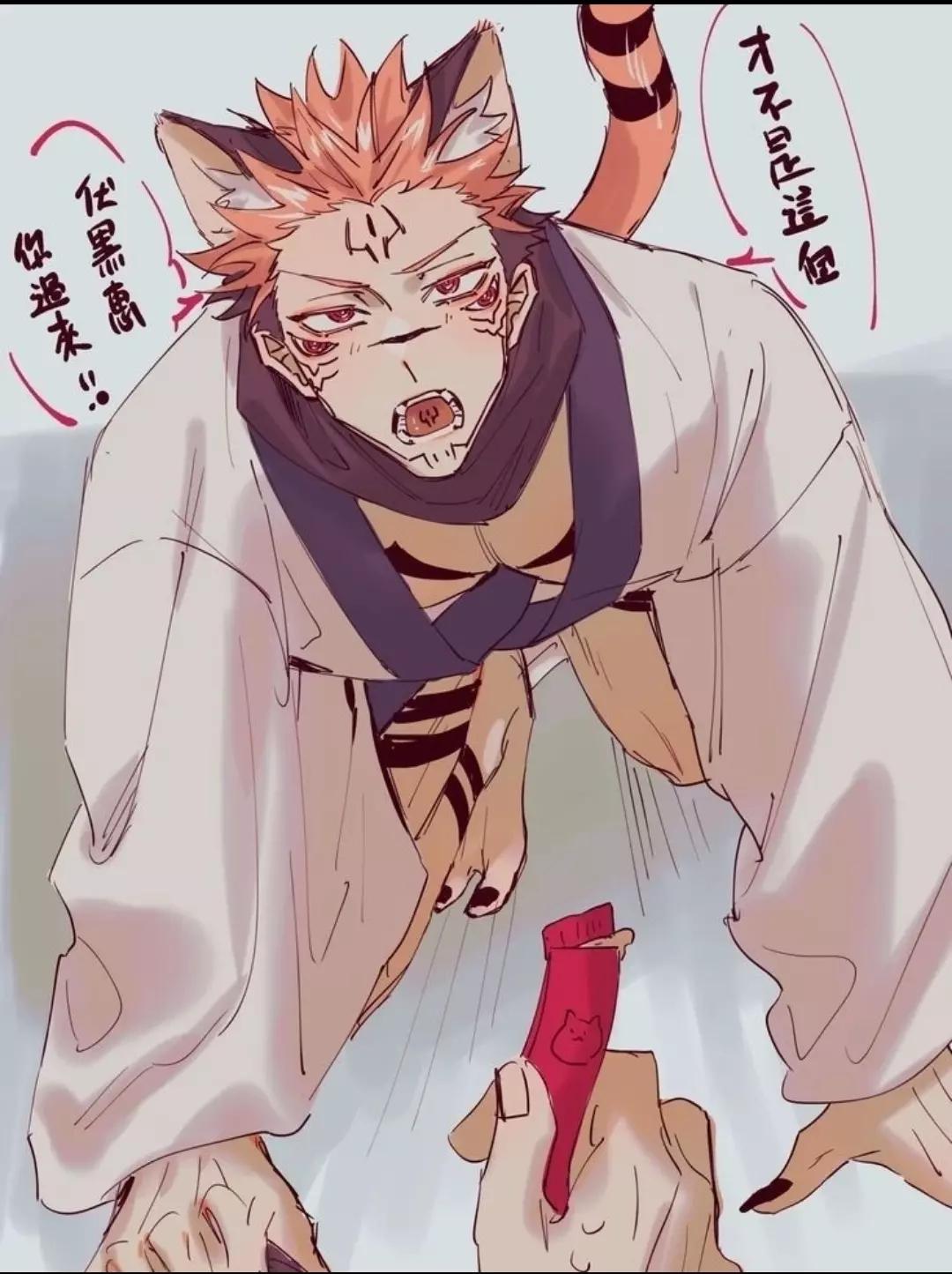 Ryomei Sukuna thumbnail