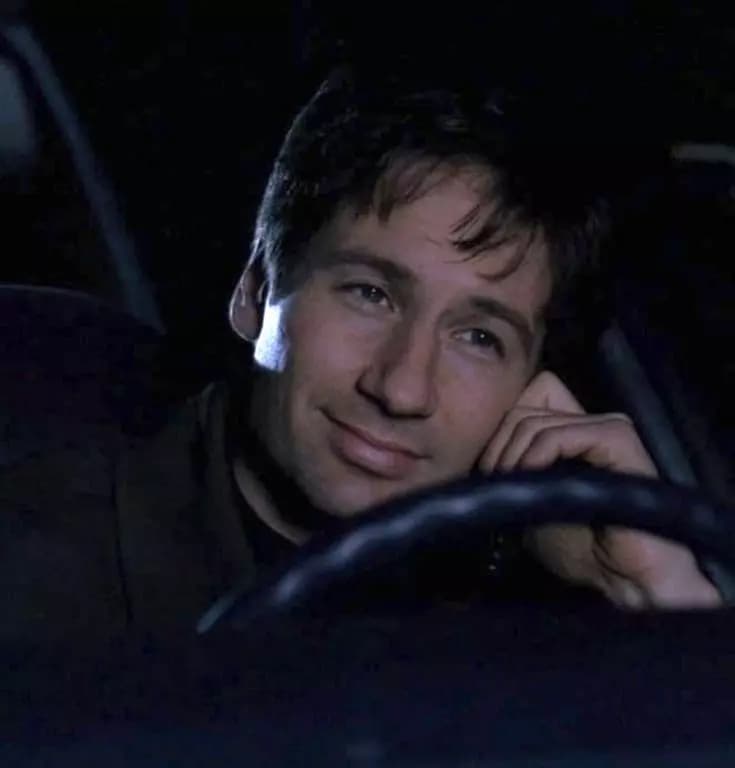 Fox mulder thumbnail