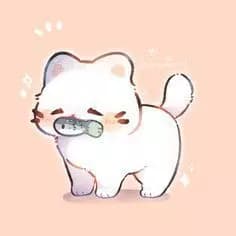 Baby Cato thumbnail