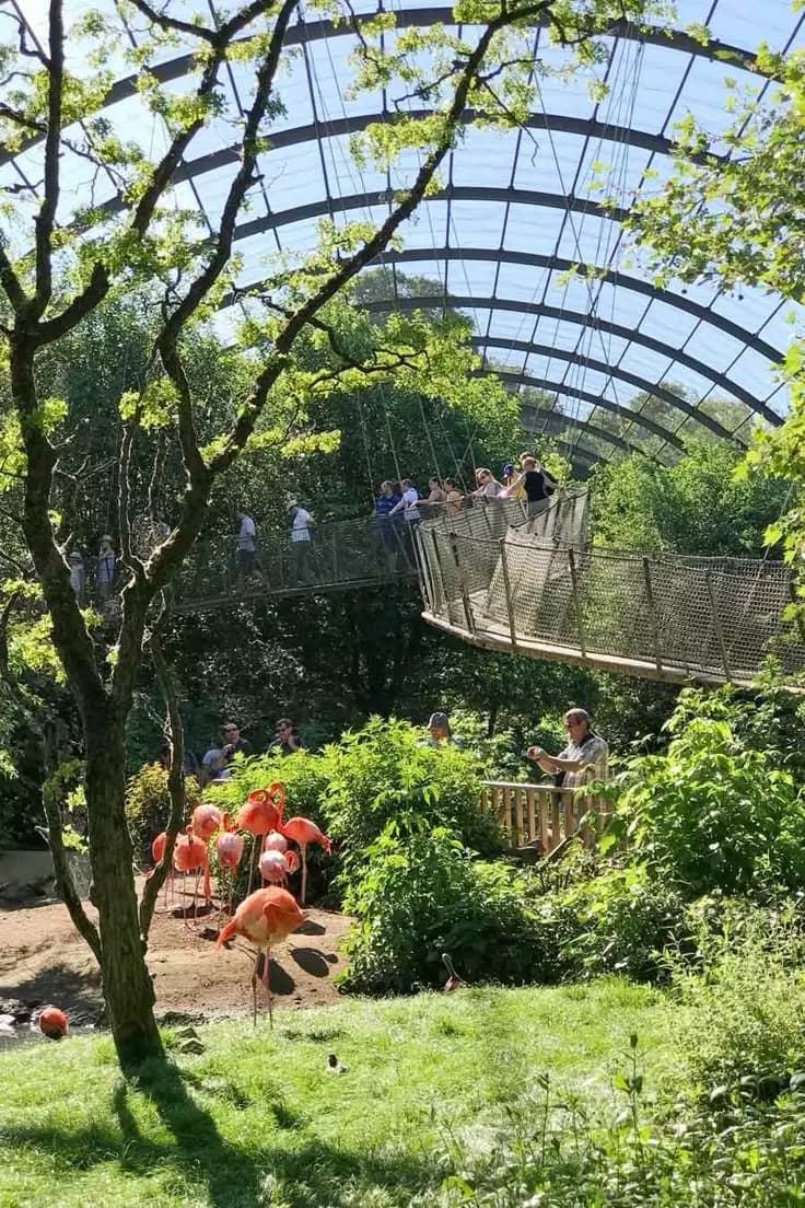 Zoo thumbnail