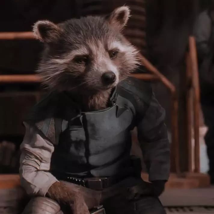 Rocket Raccoon  thumbnail