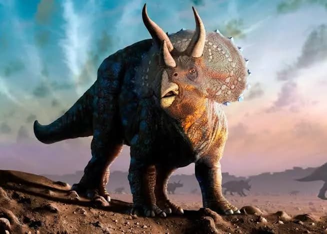 Triceratops thumbnail