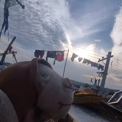 Monkey thumbnail