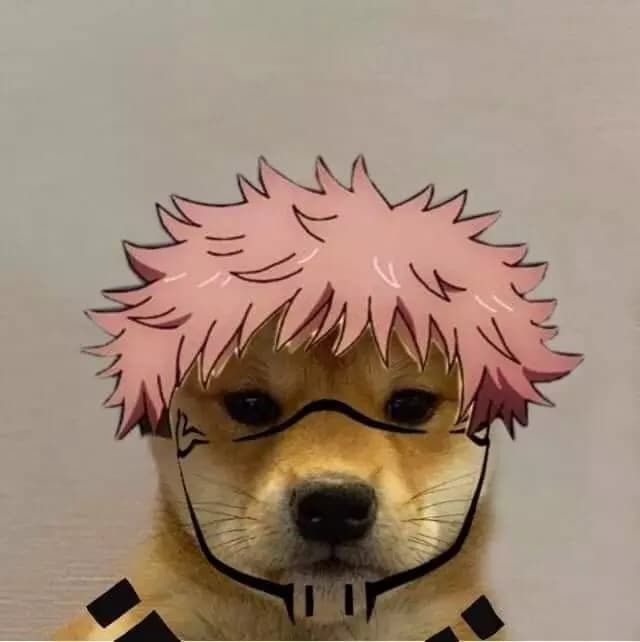 Sukuna dog  thumbnail