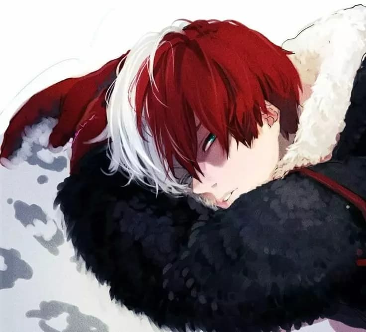 Shoto Todoroki thumbnail