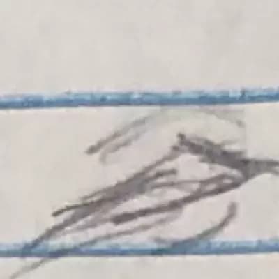 Anna thumbnail