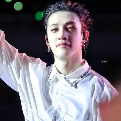 Bang Chan  thumbnail