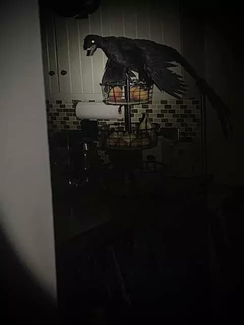 Velociraptor thumbnail