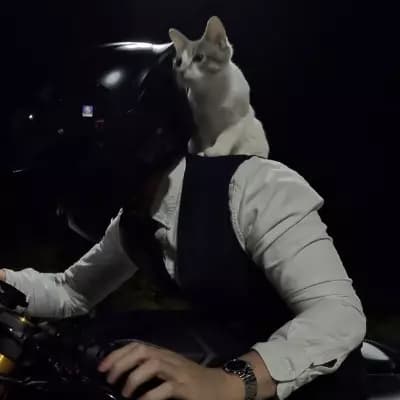 Tyler thumbnail