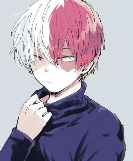 Shoto todoroki thumbnail