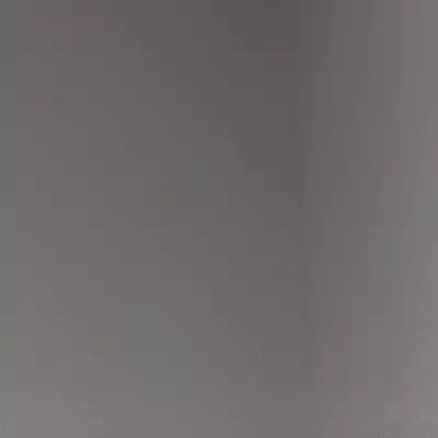 Robert Irwin thumbnail