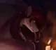 Luxury- the aesthetic Dragoness. thumbnail