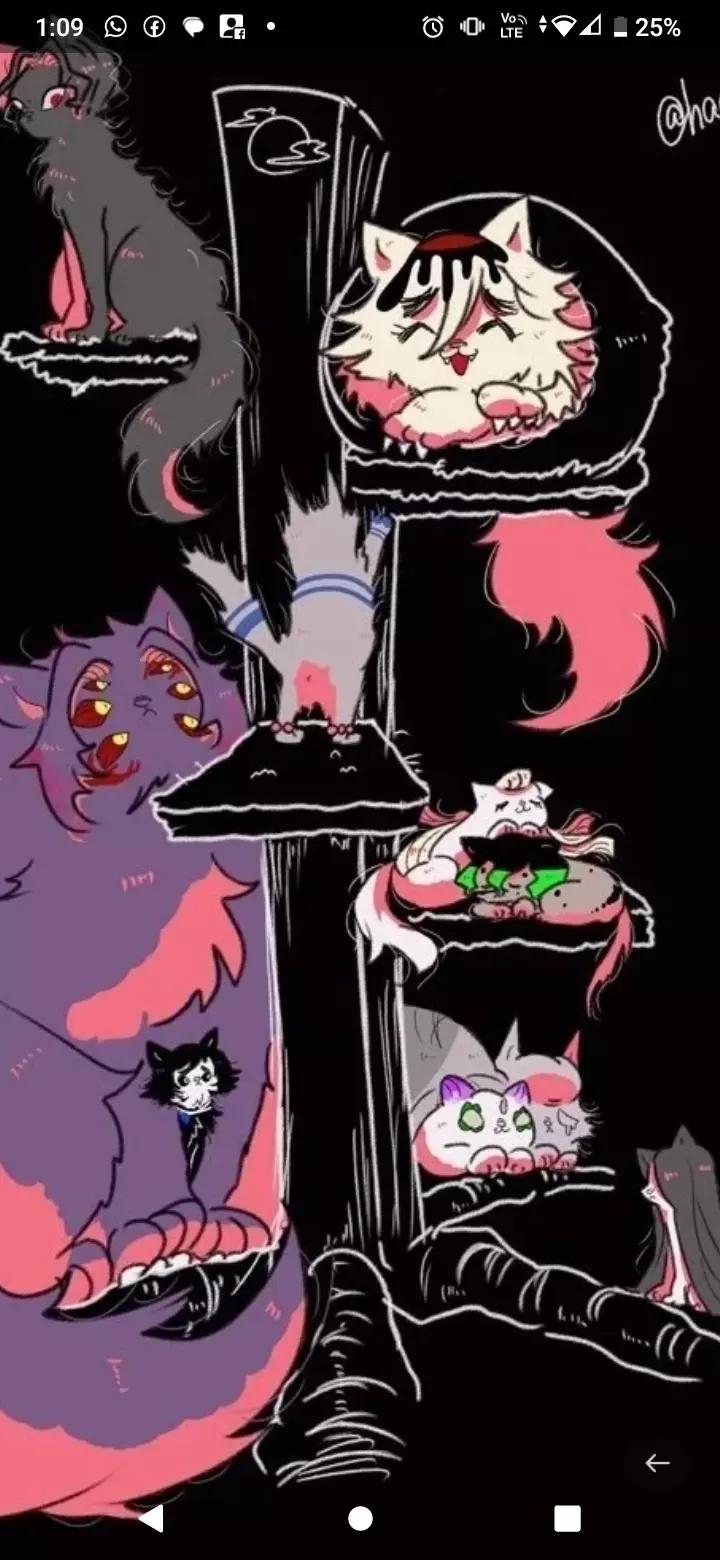 Your pet cats thumbnail