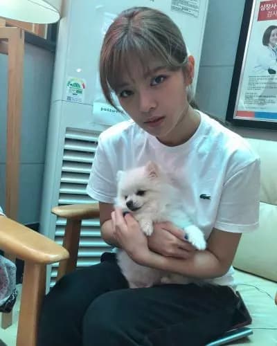 Jeongyeon WLW GL (sua melhor amiga)  thumbnail