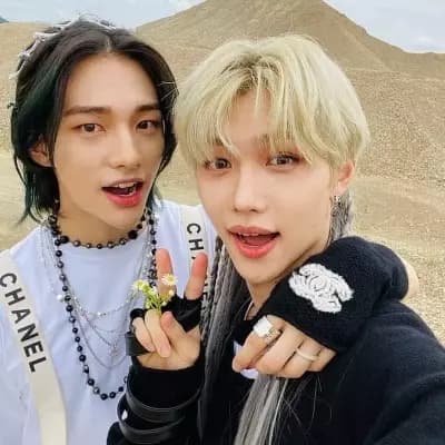 Hyunjin x Felix. (BL) thumbnail