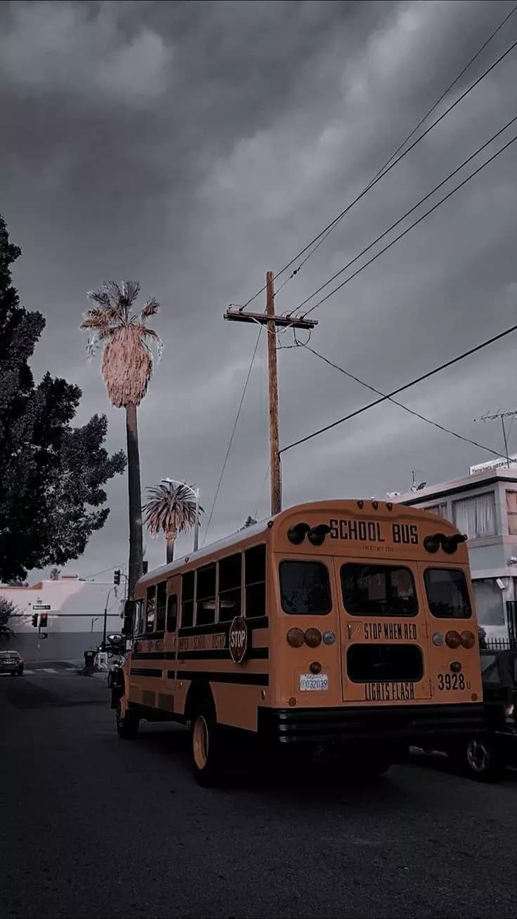 United States School thumbnail