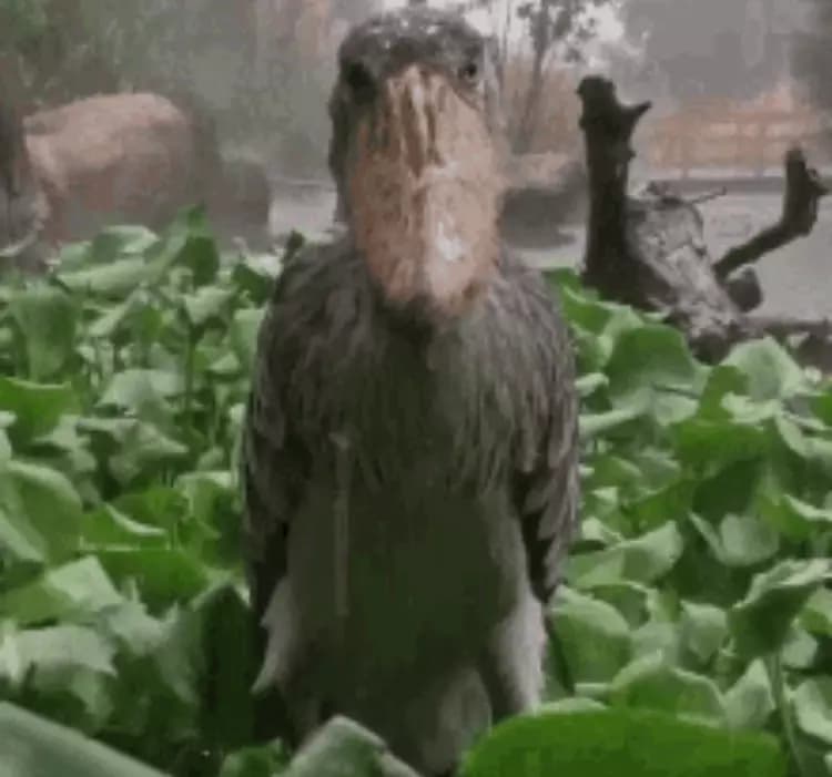 Pornhub thumbnail