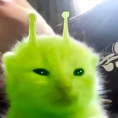 Cupapi thumbnail