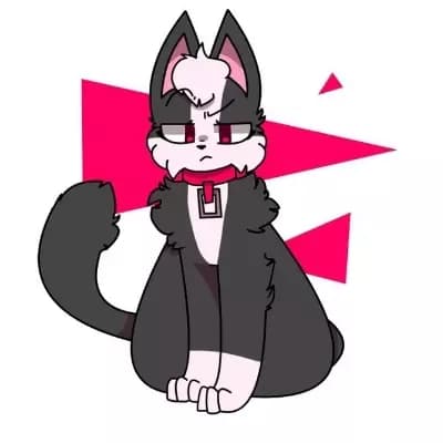Rigs🐈‍⬛🖤🤍 thumbnail