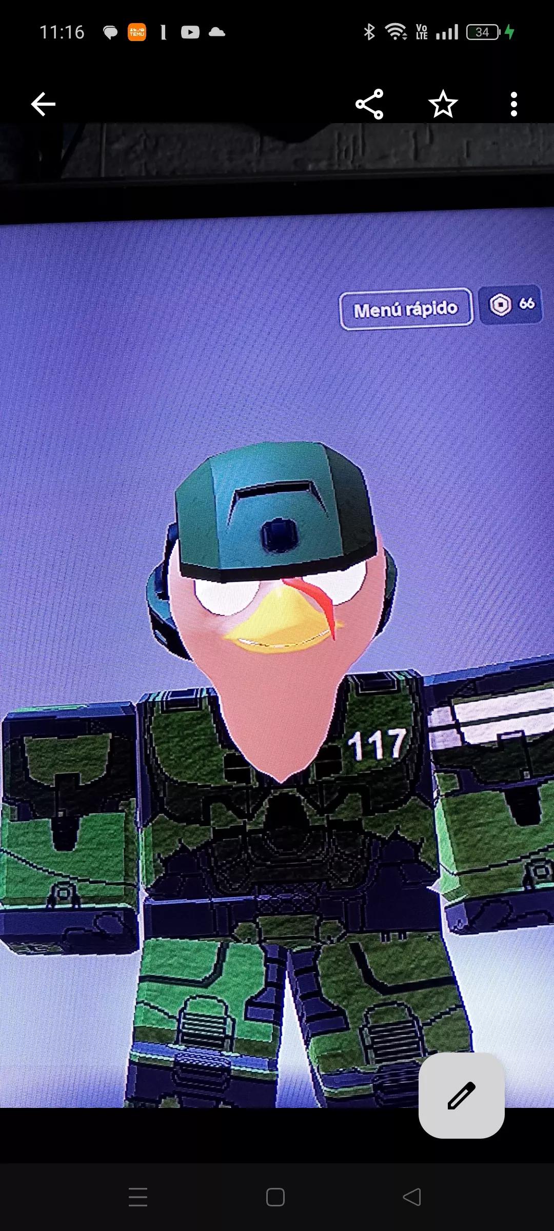 pavo thumbnail