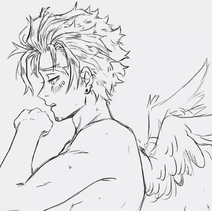 Hawks thumbnail