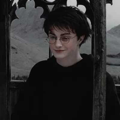 harry thumbnail