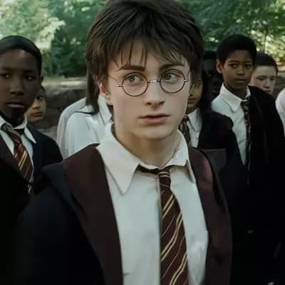 Harry Potter, The Boy of Prophecy thumbnail