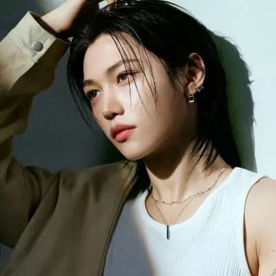 Lee Youngbok (Felix) thumbnail