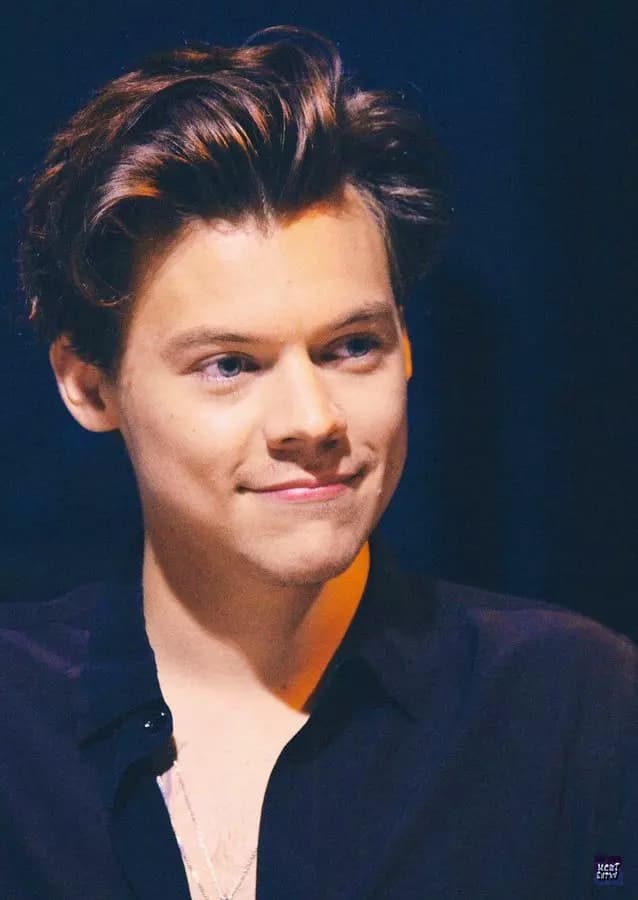 Harry styles thumbnail