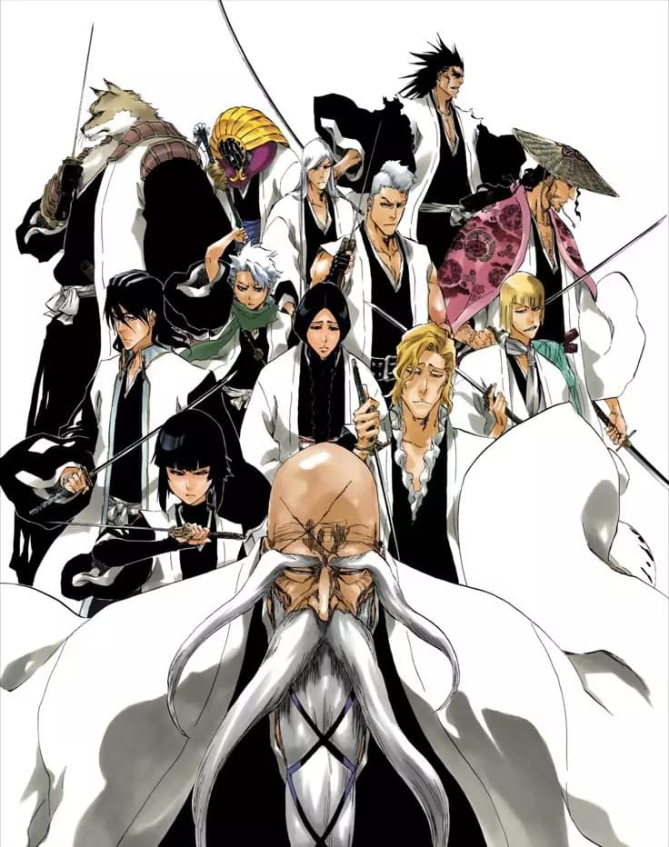 The New Captain of the Gotei 13 (Bleach) thumbnail