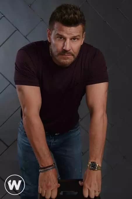 David Boreanaz  thumbnail