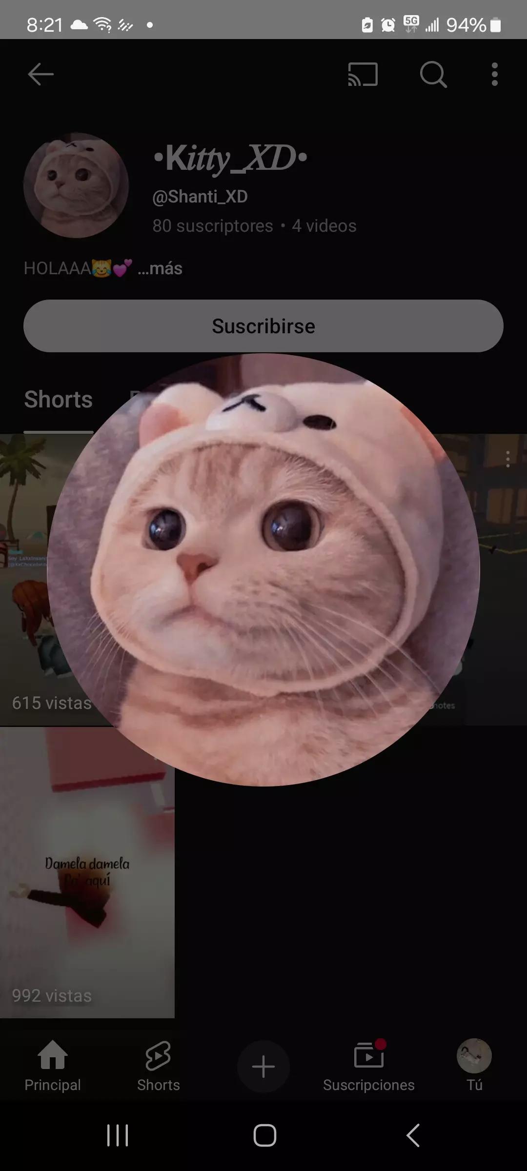 Tu gatito thumbnail