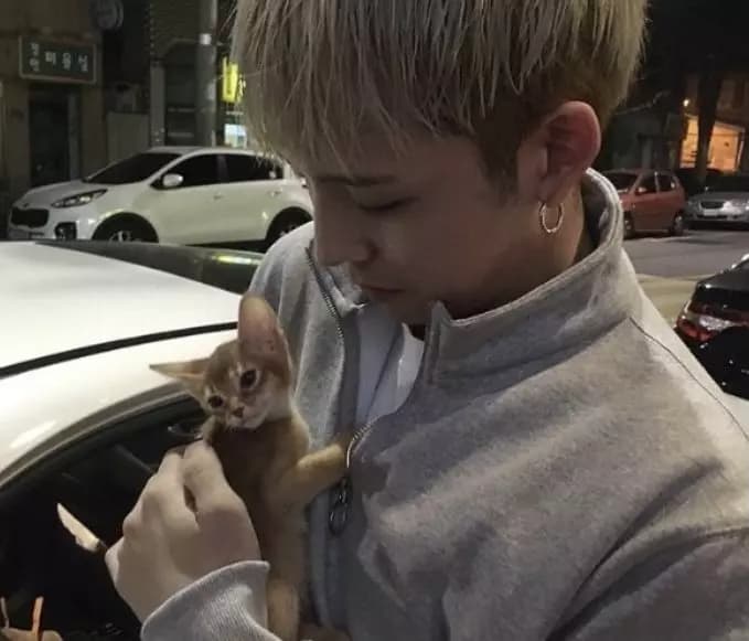 Kwon Jiyong (G-Dragon) thumbnail