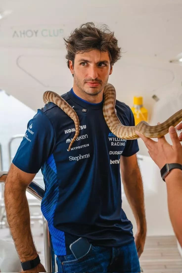 Carlos sainz  thumbnail
