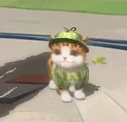 GATO (FF)  thumbnail