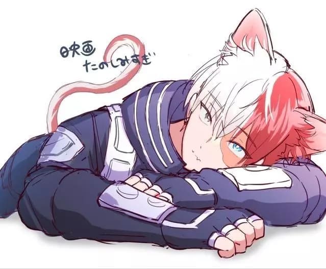 Shoto Todoroki thumbnail