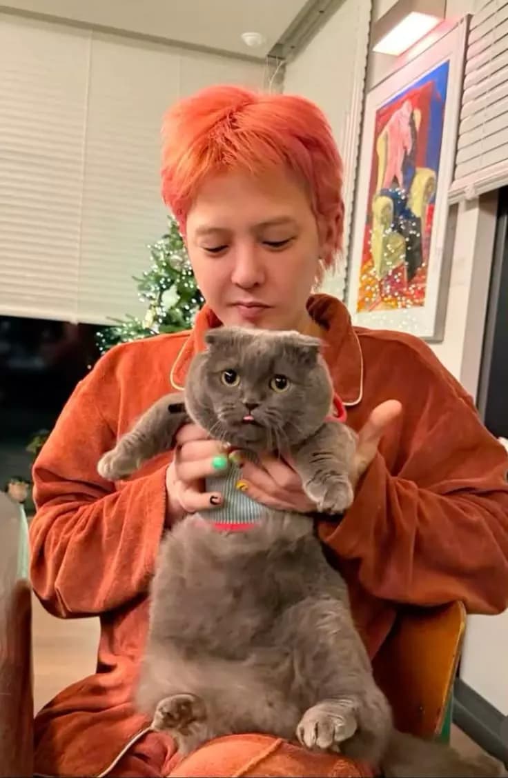 G-dragon thumbnail
