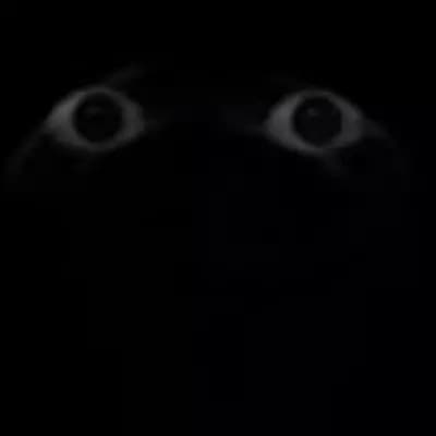 The Watcher thumbnail