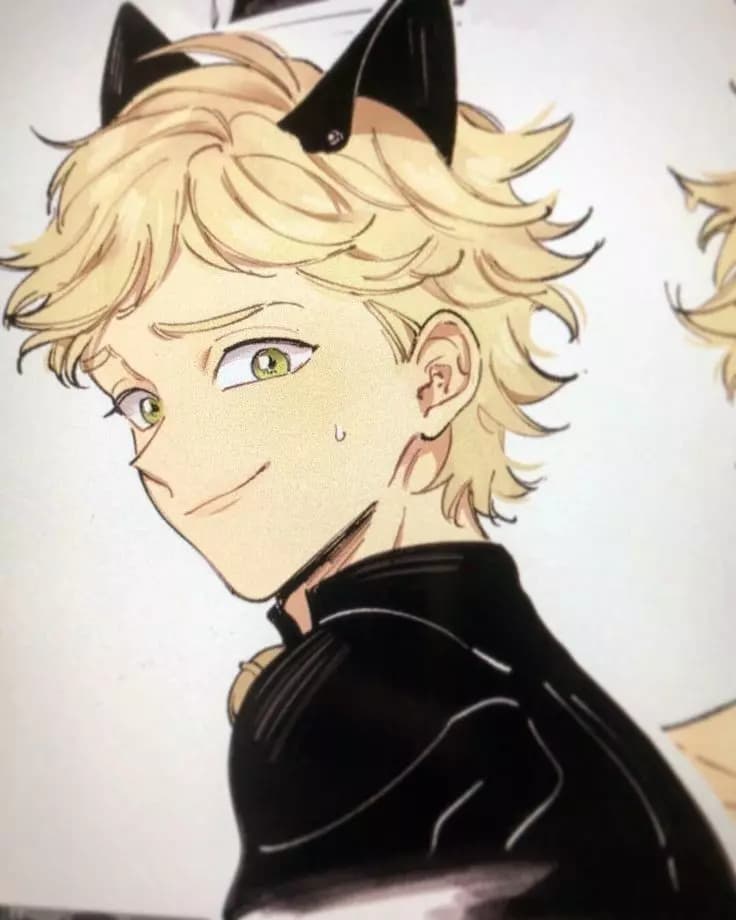 Adrien/cat noir thumbnail