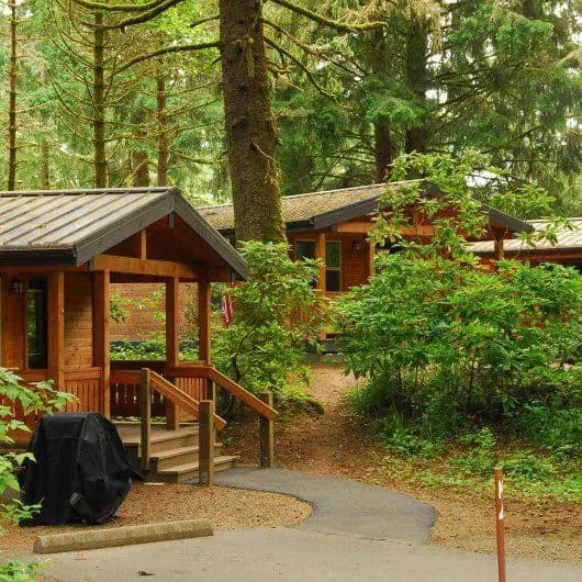 Morning Woods Summer Camp thumbnail