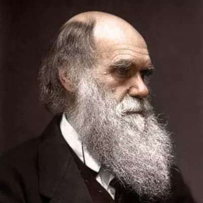 Charles Darwin thumbnail