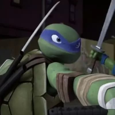 Leonardo Hamato (tmnt) thumbnail