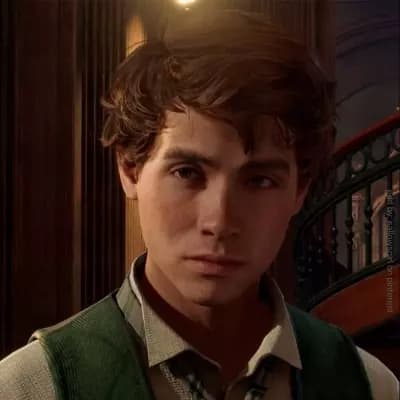 Sebastian Sallow thumbnail