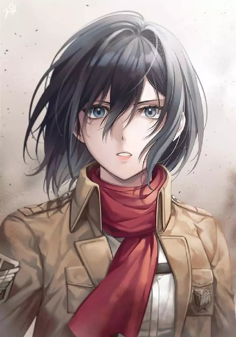 Mikasa- SNK 1 season rpg thumbnail